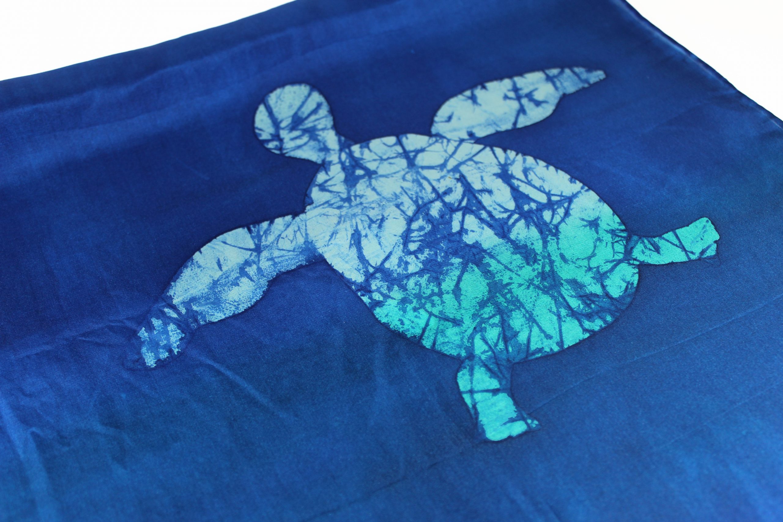 T IMG_2546